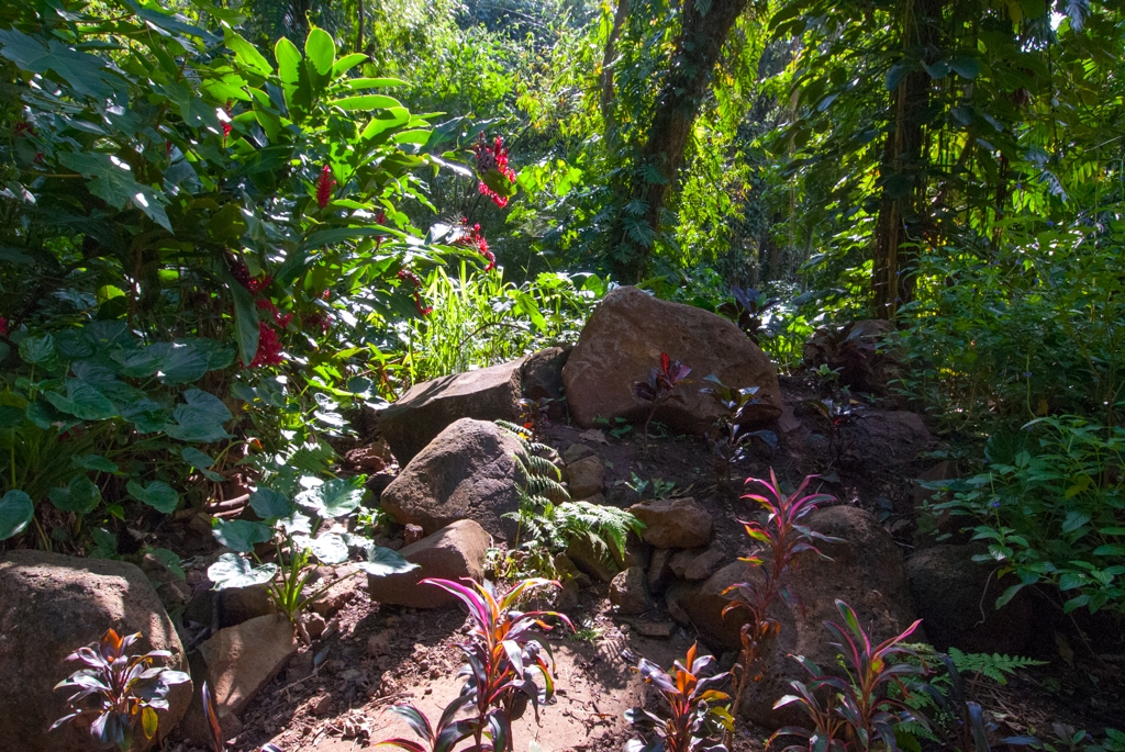 Kauai, Hawaii photograph. 