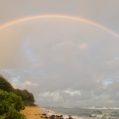 Full-sky rainbow