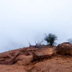 Fog over the edge