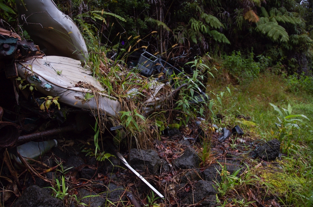 Kona, Hawaii photograph. Abandoned cars at the trailhead to Volcano National Park were all rusty, disintegrated, and overgrown with plants. I'm not sure why they were left here.
