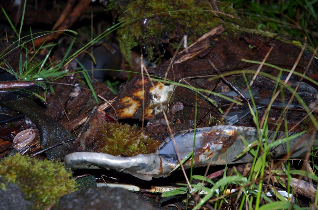 Kona, Hawaii photograph. 