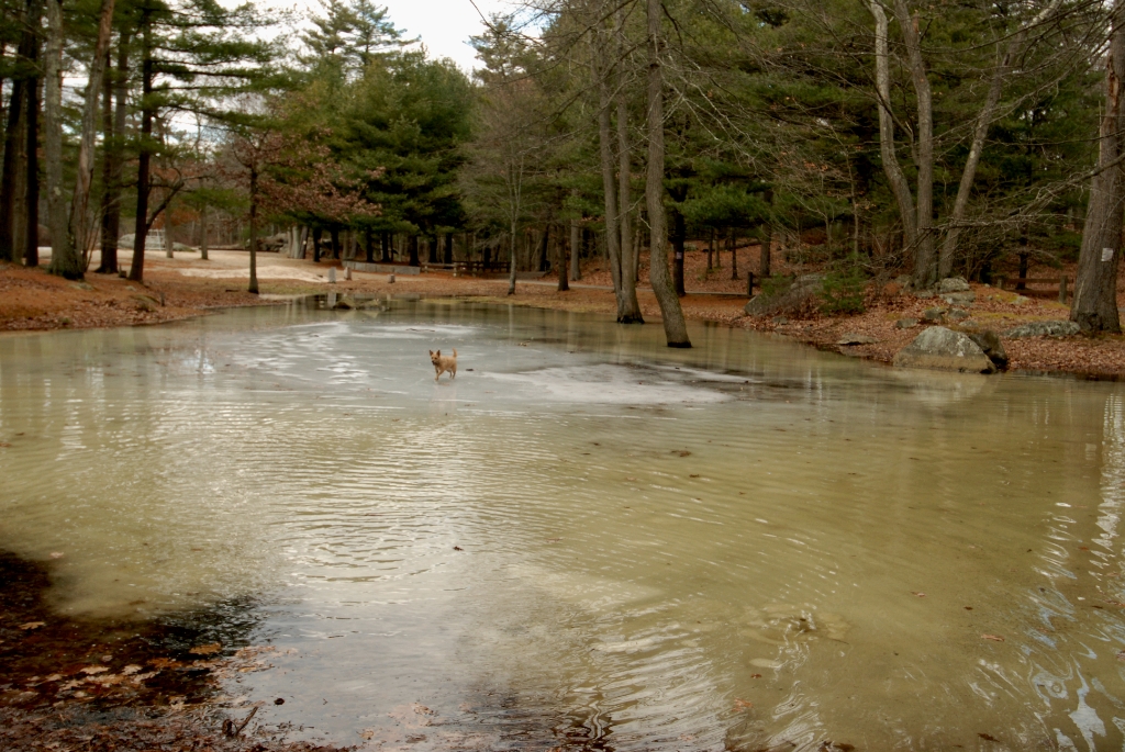 Massachusetts photograph. 