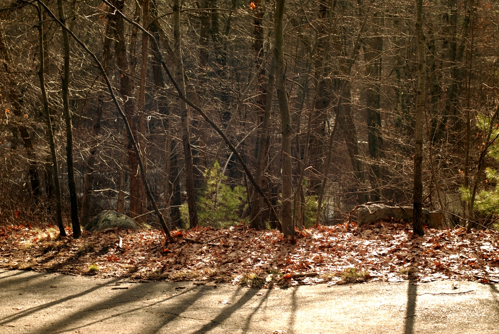 Massachusetts photograph. 