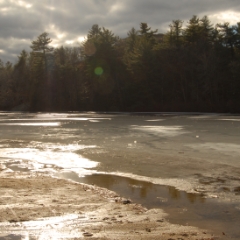 Woods, ice, sky, and sunbeams