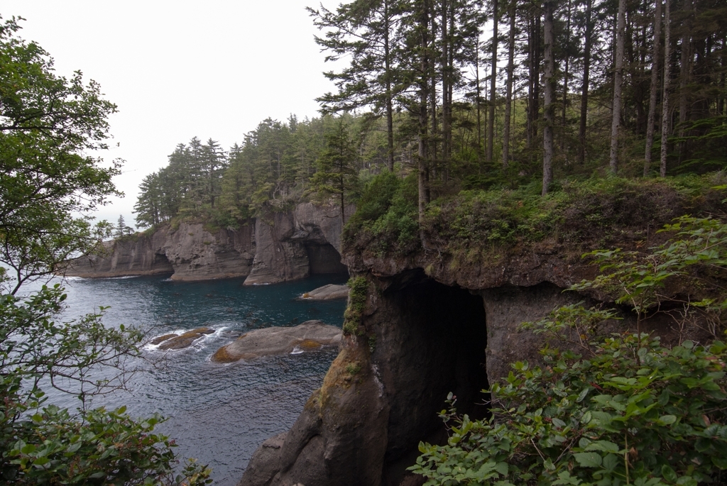 Olympic National Park photograph. There were tons of birds and other animals. At a certain point the rainforest opens up into these stunning ocean cliffs. The trail to get here winds through maybe a mile of rainforest and is well-maintained and easy. I highly recommend this place!