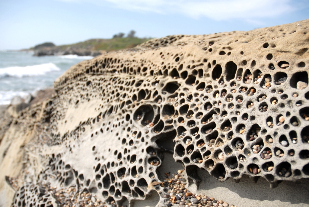 Pebble Beach, California photograph. Sandstone erodes and evolves in a particular fashion, leaving these alveoles or pits.