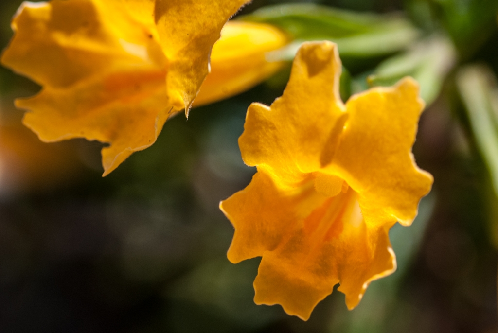Pinnacles National Monument, California photograph. 