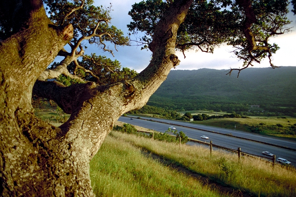 San Francisco, California photograph. 
