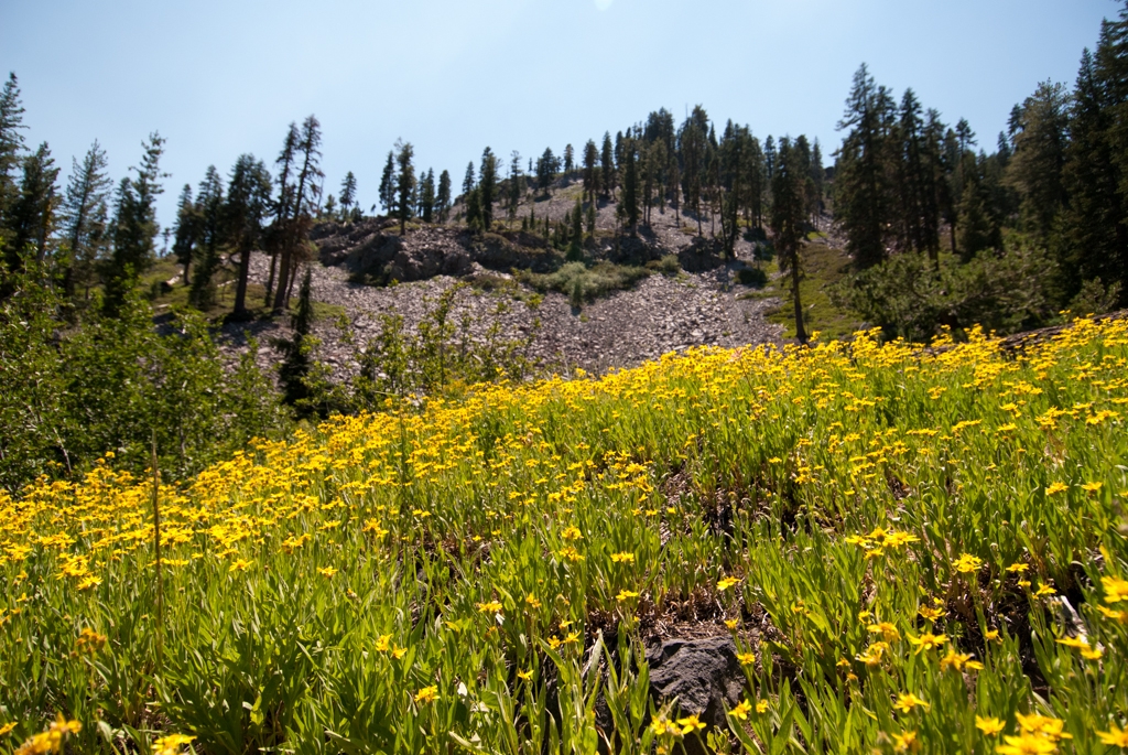 Volcano National Park, California photograph. 