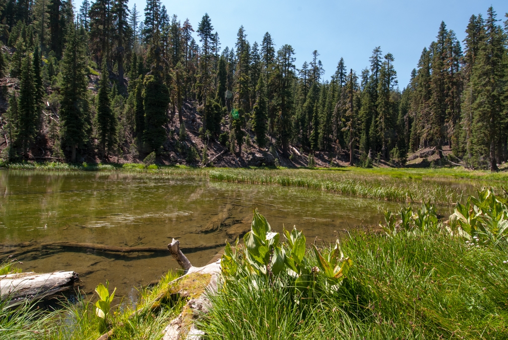 Volcano National Park, California photograph. 