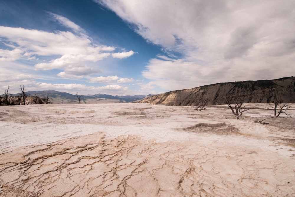 Yellowstone National Park, Wyoming photograph. Yellowstone had a lot of dry, dead landscapes. Very stark and beautiful.