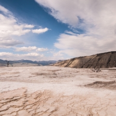 Barren Landscape in Yellowstone