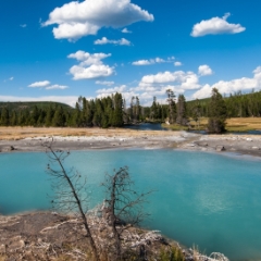 Black Opal Pool in Biscuit Basin