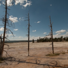 Yellowstone National Park, Wyoming